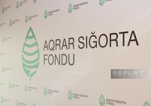 В Азербайджане снижены тарифы на страхование сельскохозяйственных животных