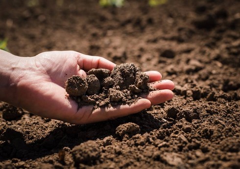 В Азербайджане состоятся очередные земельные аукционы