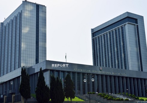 В Азербайджане ужесточат наказание за жестокое обращение с животными