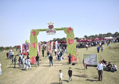 В Азербайджане впервые проводится "Фестиваль малины"