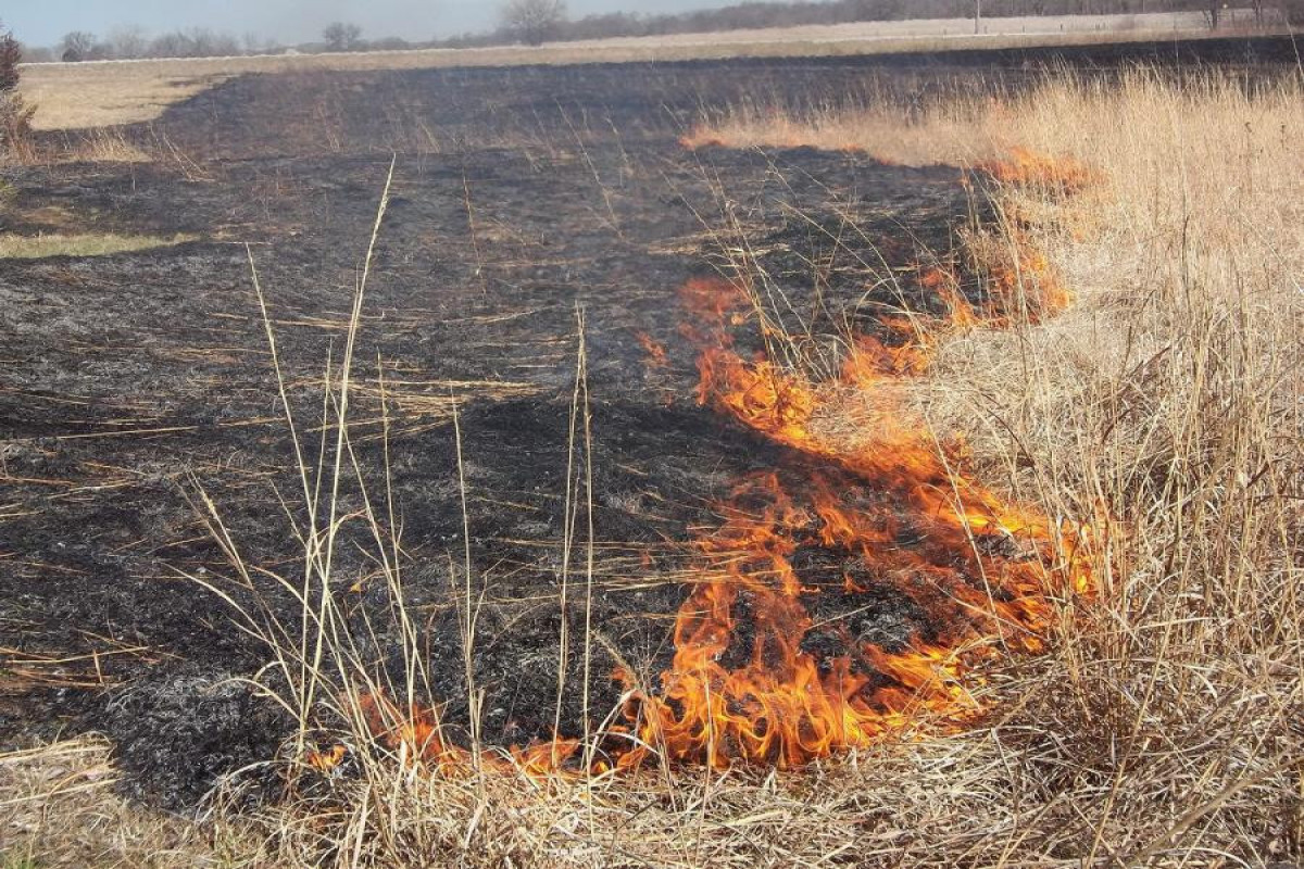 В Азербайджане за поджог  посевной площади  вводятся новые штрафы, административный арест