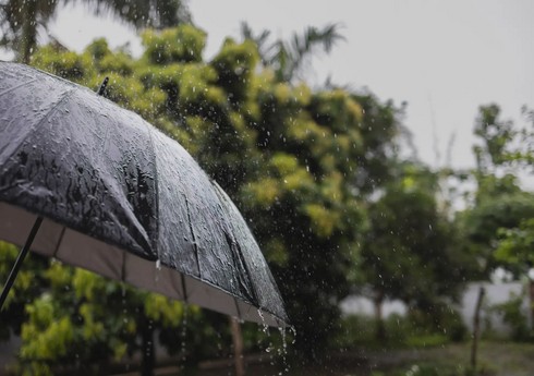 В Азербайджане завтра прогнозируются осадки, временами ливневого характера