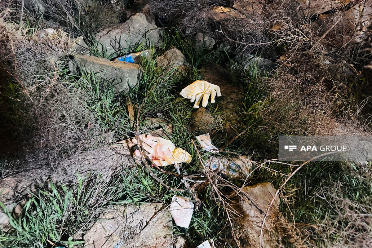 В Азербайджане женщину убили ударом камнем по голове - ОБНОВЛЕНО-ФОТО