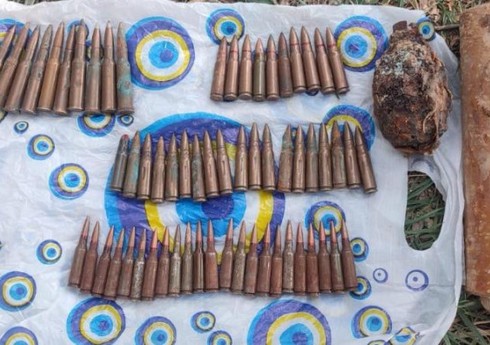 В Бабеке и Шахбузе обнаружены боеприпасы