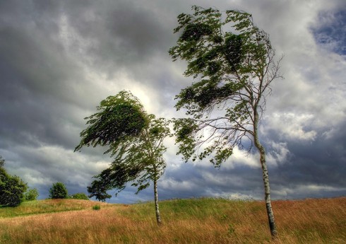 В Баку и на Абшероне усилился ветер, в ряде горных районов прошел дождь
