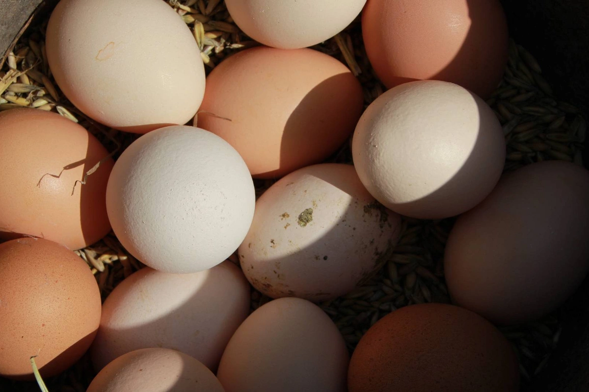 В Баку и регионах резко подорожали деревенские яйца
