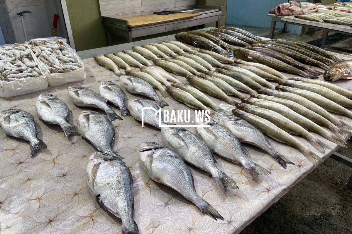 В Баку начала работу рыбная ярмарка