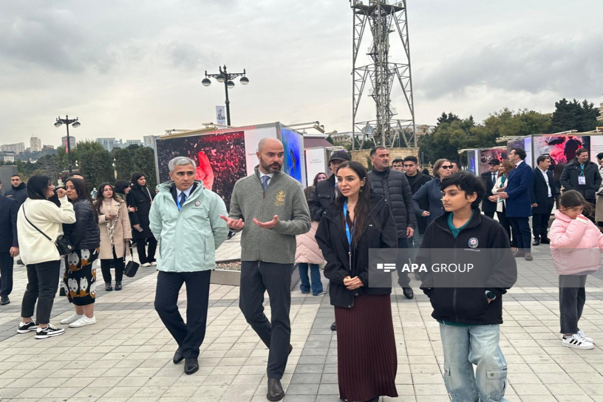 В Баку открылась выставка, посвященная подводному миру и значению существ, обитающих в мировых водах-ФОТО