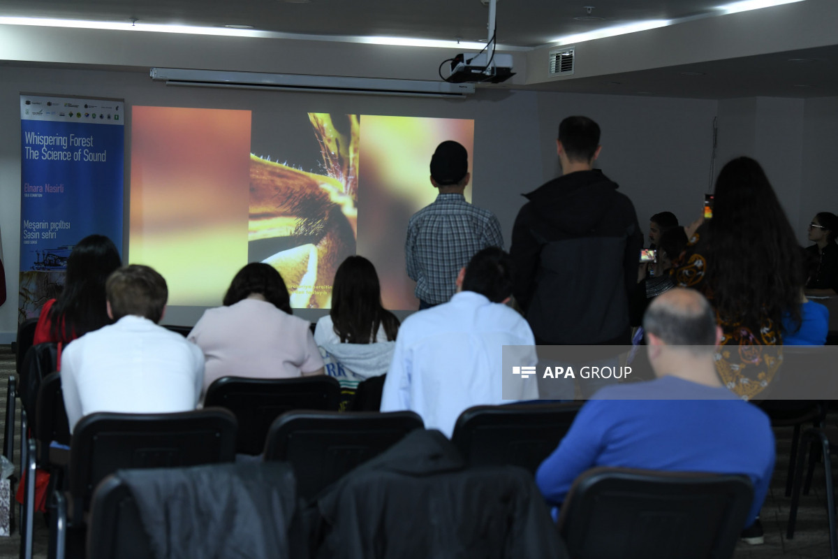 В Баку открывается художественная выставка, посвященная проблемам климата – ФОТО