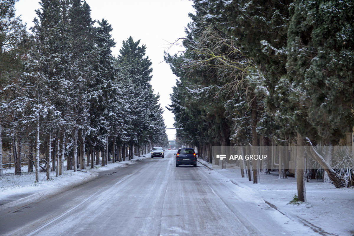 В Баку ожидается снег, на дорогах – гололёд – ПРОГНОЗ ПОГОДЫ