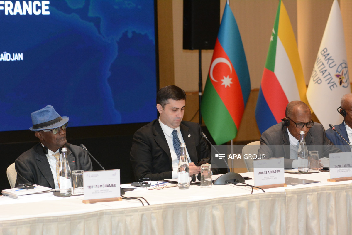 В Баку проходит конференция по  оккупации Францией острова Майотта-ФОТО