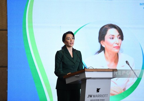 В Баку прошел международный Бакинский форум омбудсменов