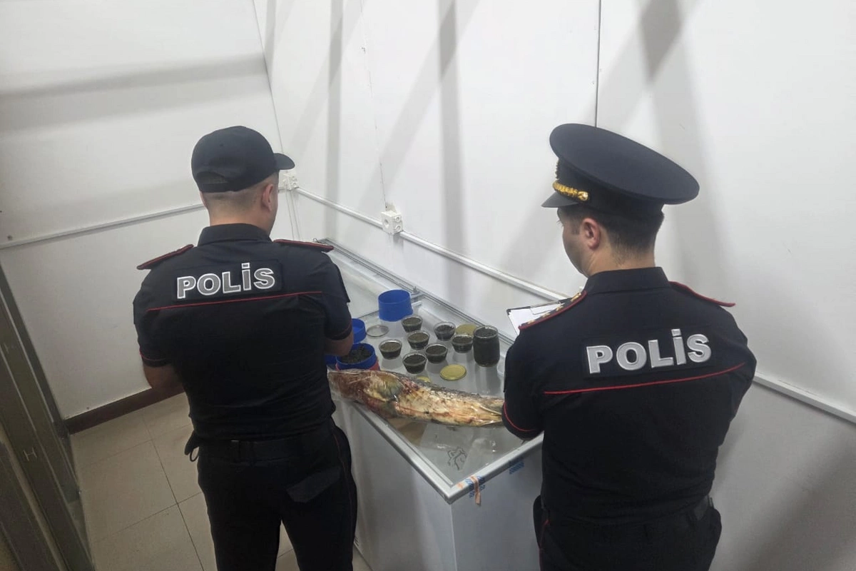 В Баку раскрыта незаконная торговля морепродуктами через соцсети