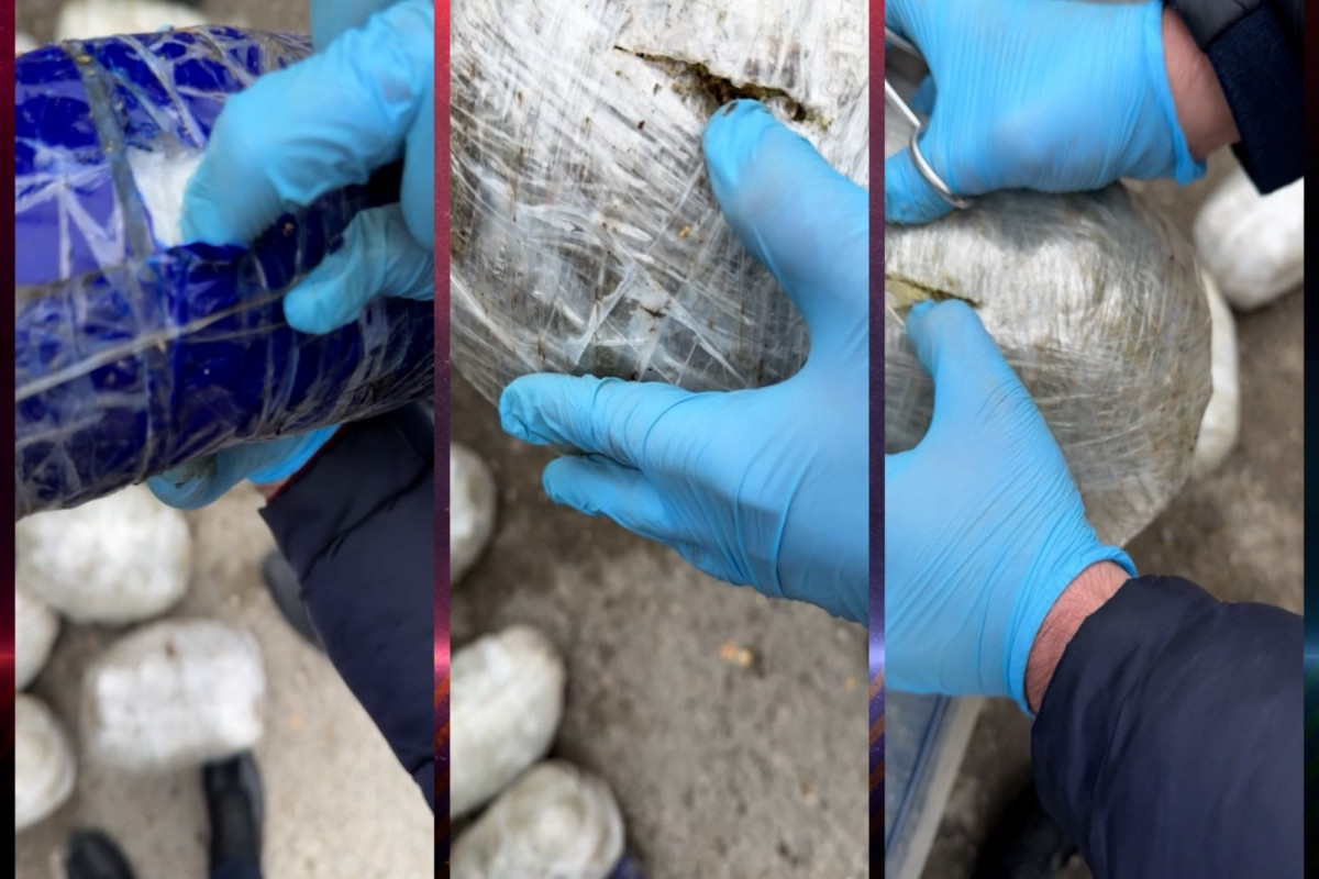 В Баку за сбыт наркотиков задержаны отец и двое его детей - ФОТО-ВИДЕО