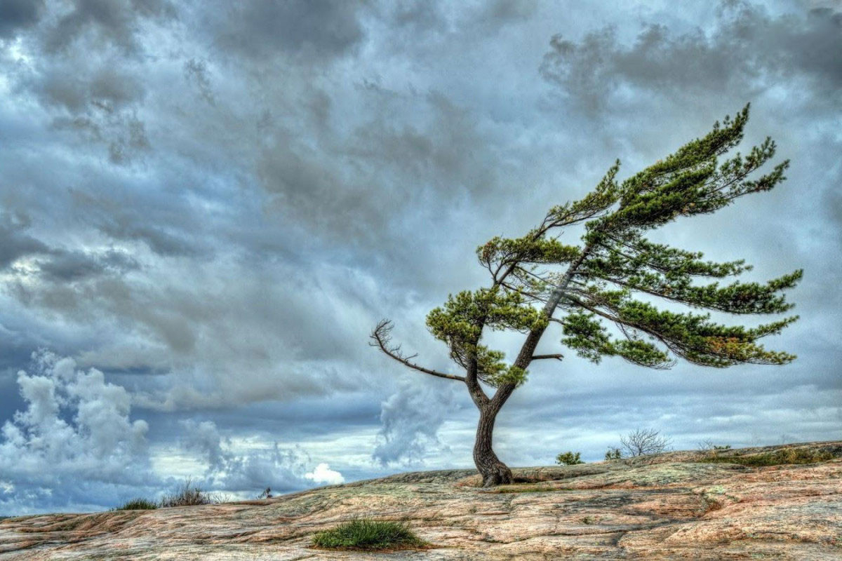В ближайшие три дня ожидается сильный ветер