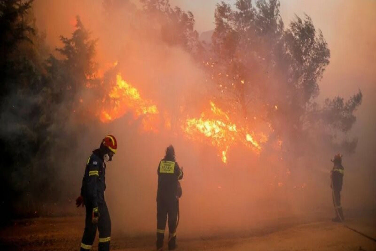 В Боливии объявлен режим ЧС из-за пожаров