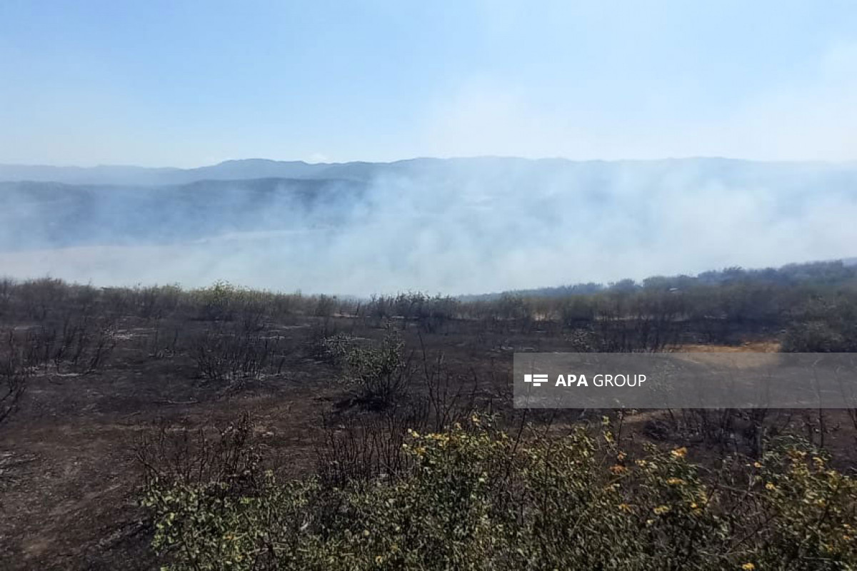 В Джалилабаде начался пожар в горной местности, один человек отравился дымом-ФОТО-ВИДЕО-ОБНОВЛЕНО-1