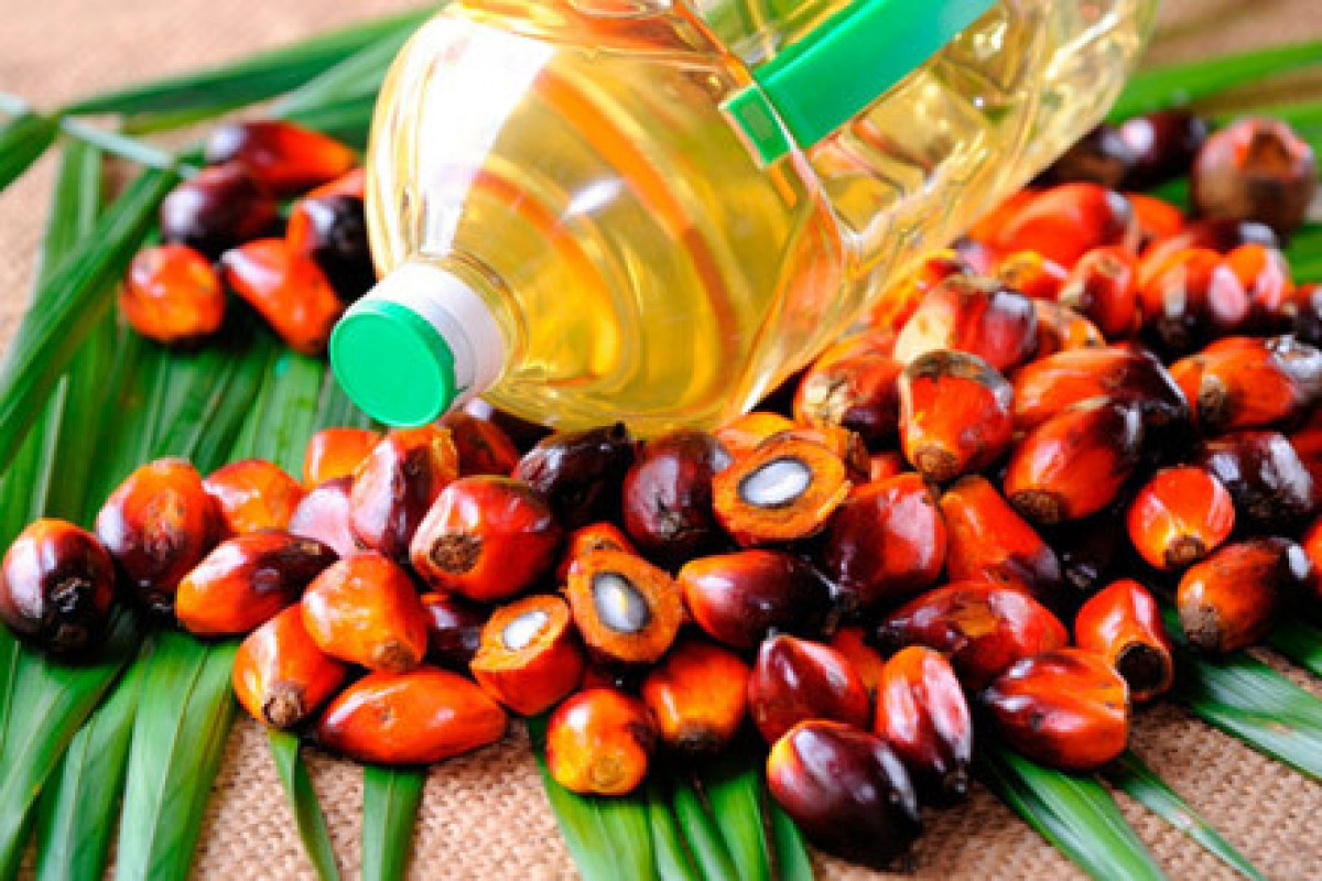 В этом году резко возрос импорт пальмового масла в Азербайджан