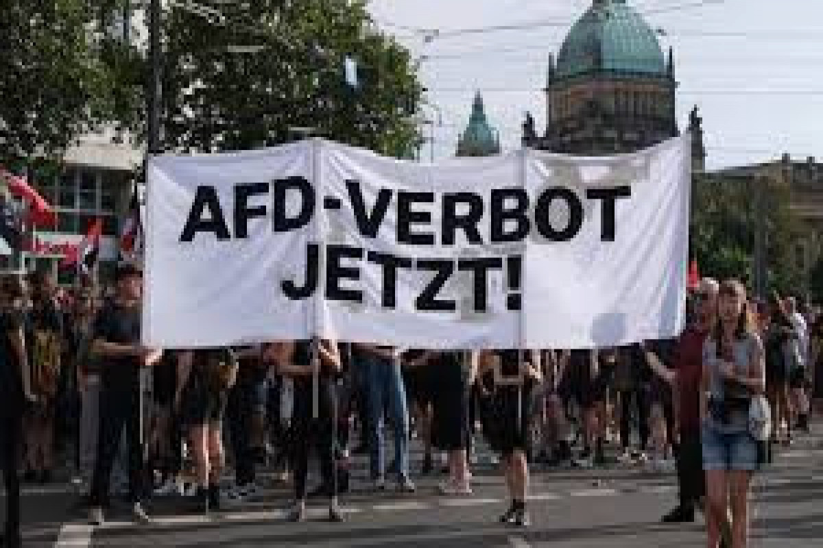 В ФРГ ультраправая партия АдГ признана экстремистской