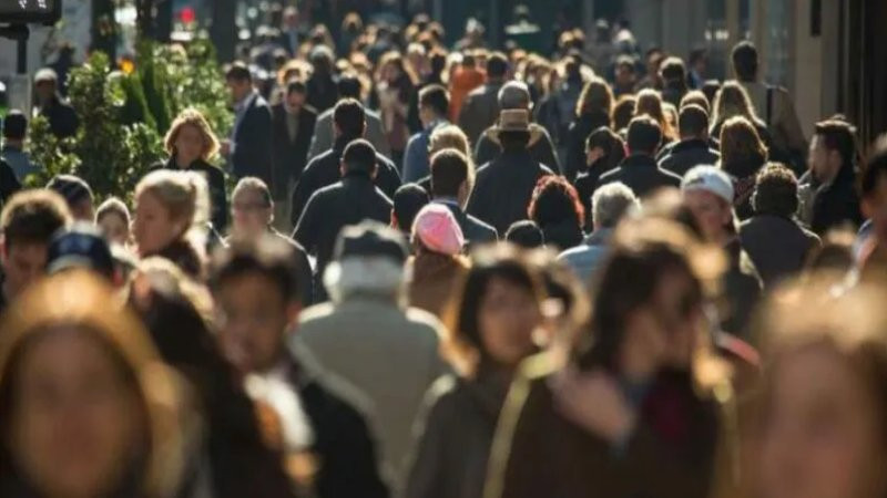 В Грузии началась перепись населения