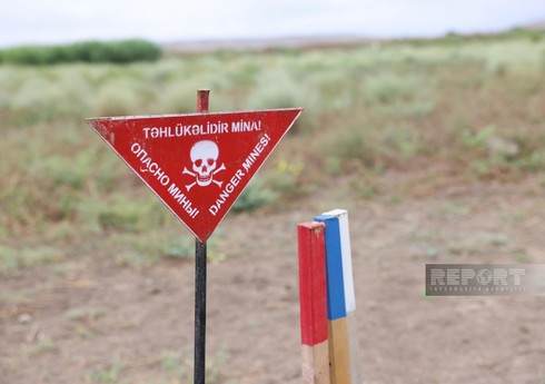 В Карабахе и Восточном Зангезуре в январе от мин очищено 3,5 тыс. га