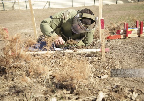 В Карабахе и Восточном Зангезуре за неделю от мин и боеприпасов очищено свыше 900 га