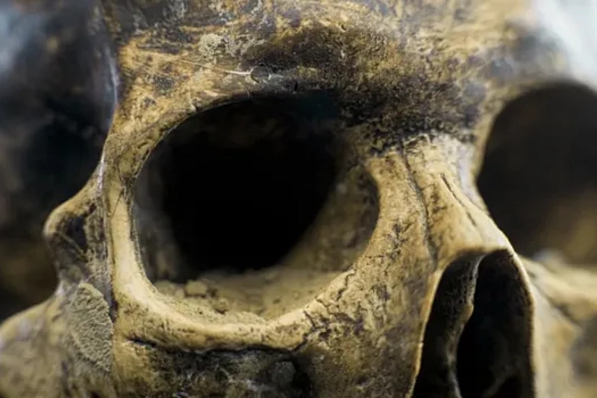 В Ливии обнаружены останки неизвестного вида людей