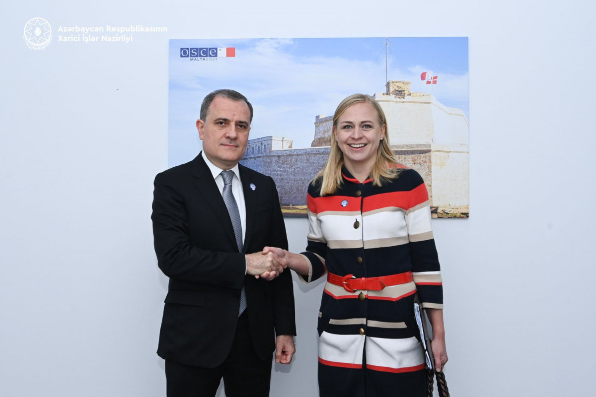 В Мальте состоялась встреча глав МИД Азербайджана и Финляндии -ОБНОВЛЕНО