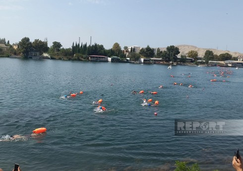 В Мингячевире состоялся турнир "Переплывем Куру?!"