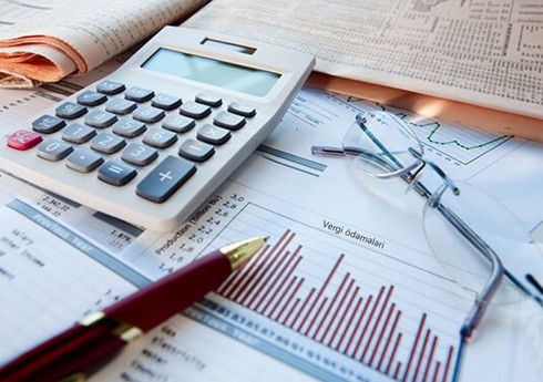 В Нахчыванской АР количество активных налогоплательщиков выросло на 38% в этом году