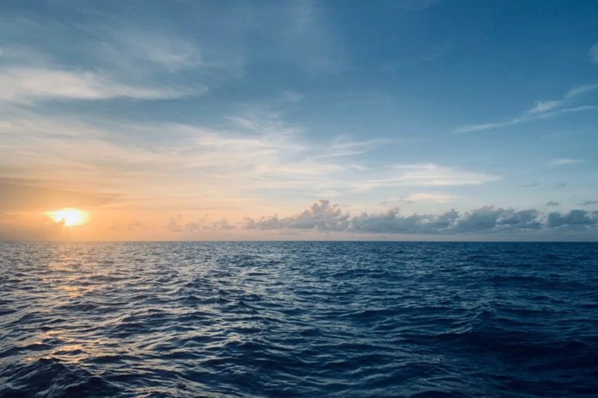 В океане зафиксировали гигантскую форму жизни, которую видно из космоса