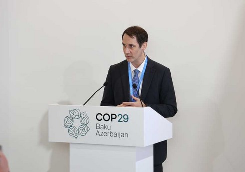 В рамках COP29 обсуждены основные направления декарбонизации в морском секторе