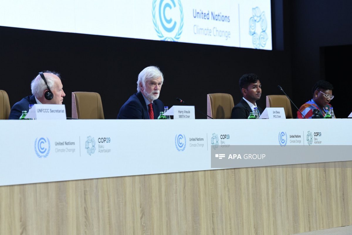 В рамках COP29 состоялась пленарная сессия на тему «День информации о Земле 2024»