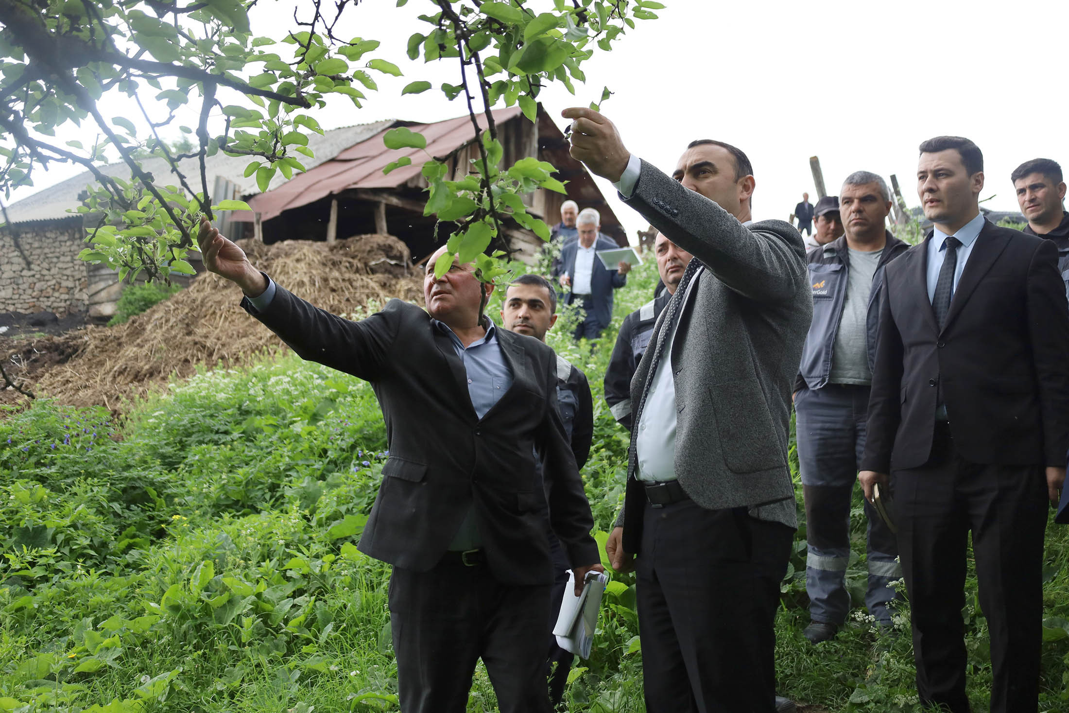 В рамках проекта «Поддержка развития аграрной сферы в Дашкесанском и Гейгельском районах» проводятся мониторинги и встречи с сообществами