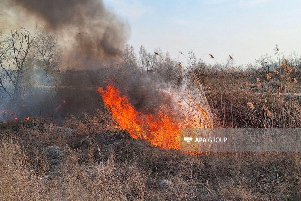 В ряде сел Хачмазского района начался пожар-ОБНОВЛЕНО