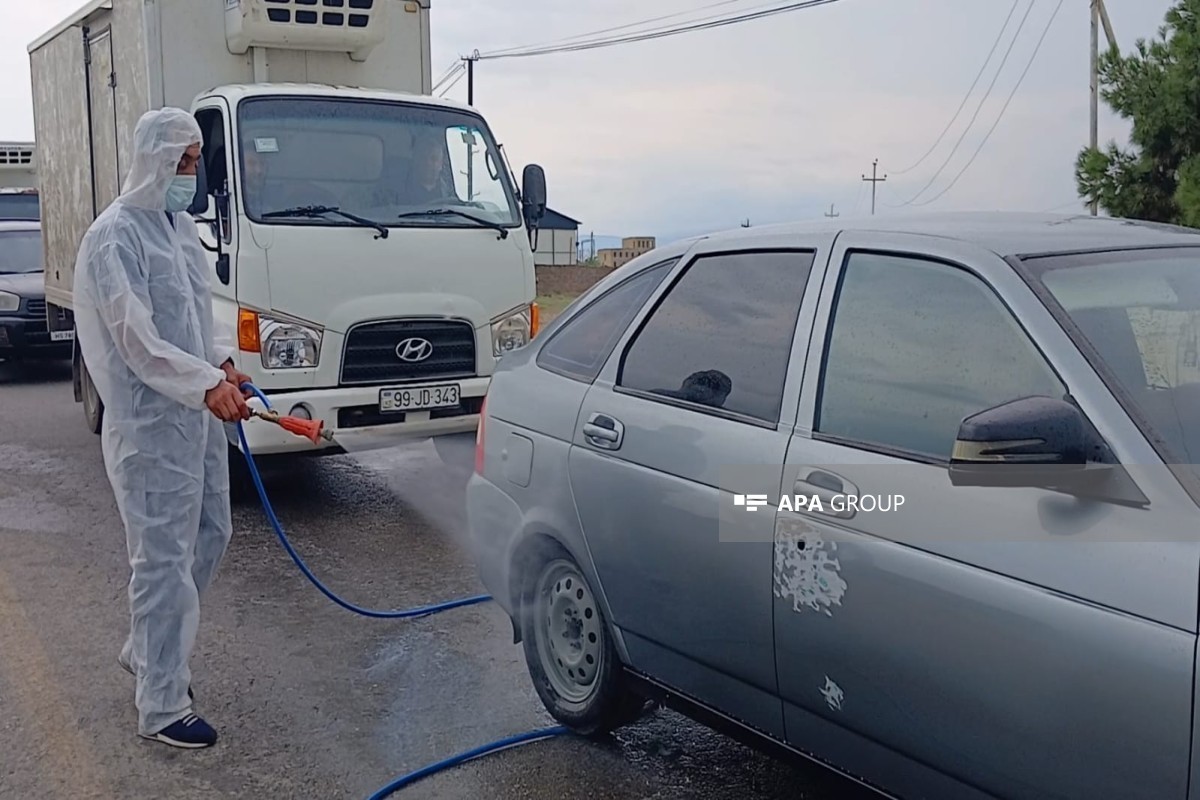 В Самухском районе на территории, где выявлена сибирская язва, установлен контрольный пост, проводится дезинфекция -ФОТО