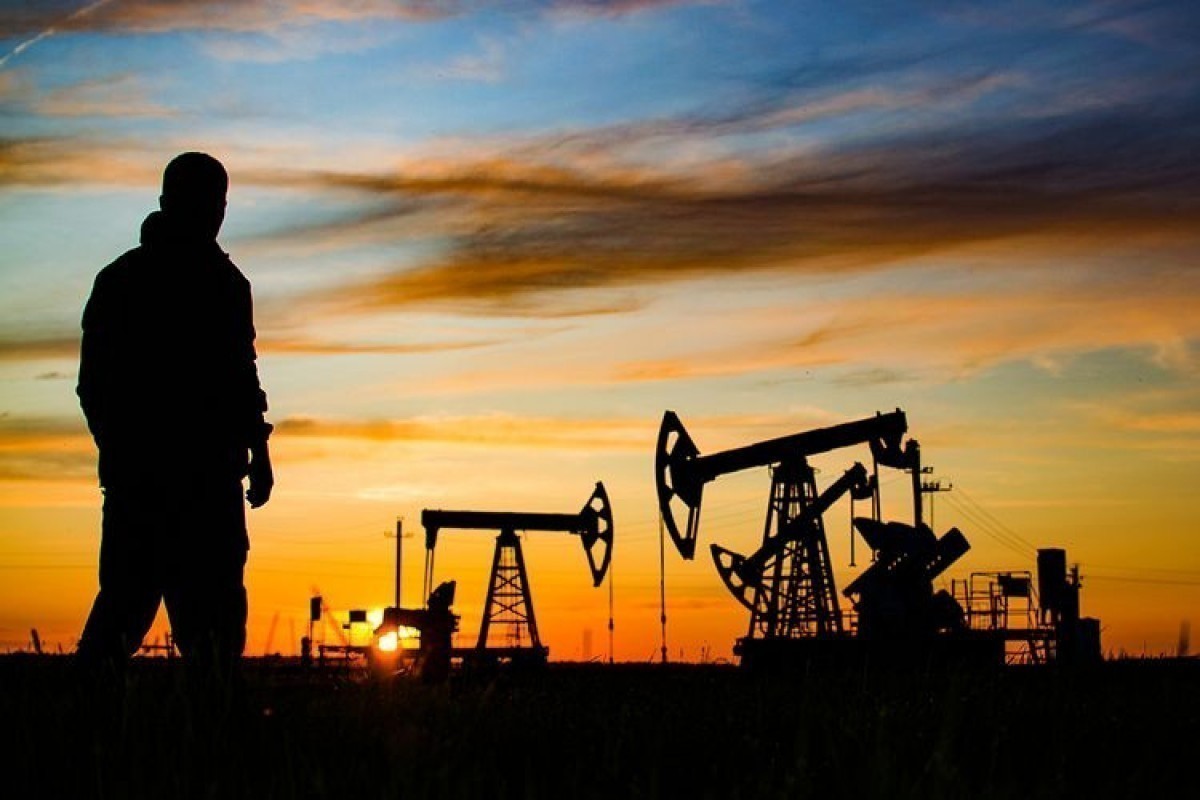 В следующем году темпы роста мировой добычи нефти ускорятся — ПРОГНОЗ