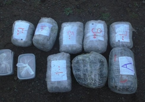 В Сумгайыте полиция изъяла более 67 кг наркотиков, задержаны два члена наркосети