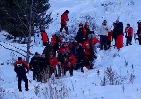 В Турции в результате схода лавины на горнолыжном курорте пострадали пять человек