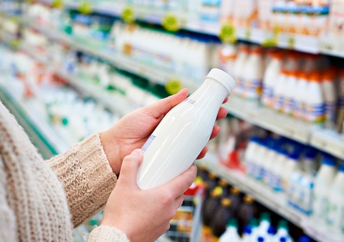 В Великобритании ради экологии призвали сократить потребление мяса и молока