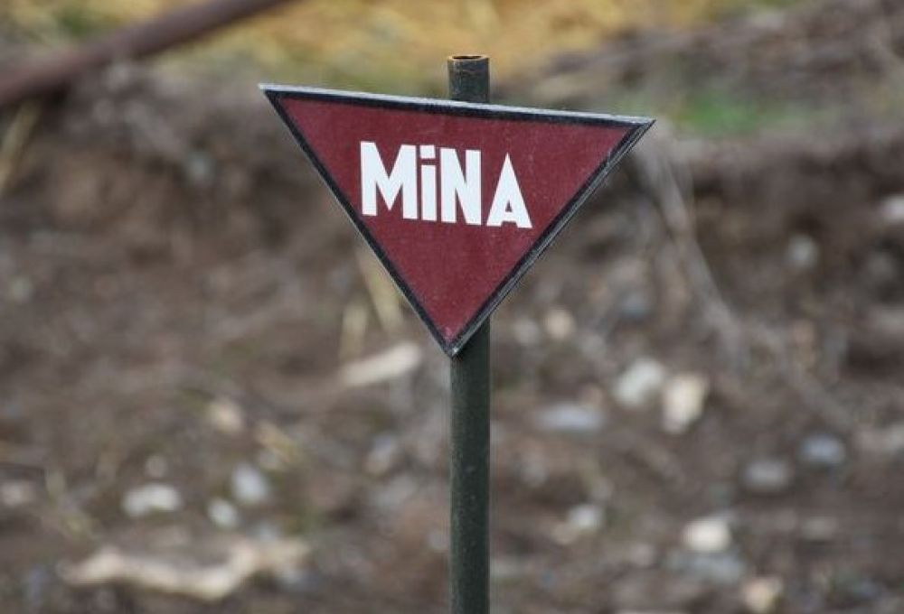 В возвращенных Азербайджану селах Газаха обнаружено множество мин