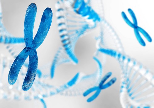 В Японии совершили прорыв в лечении синдрома Дауна