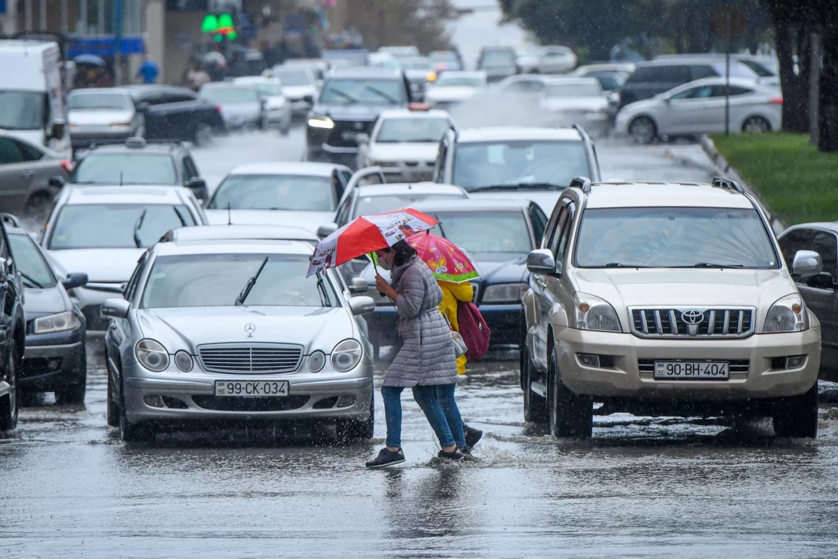 Важное предупреждение для всех участников дорожного движения