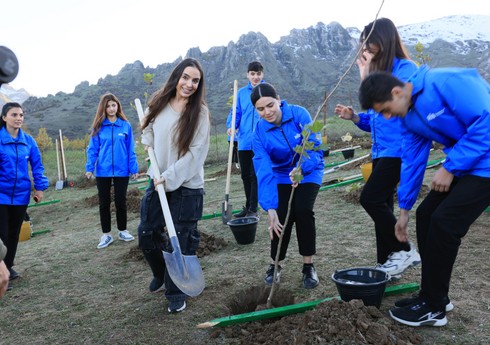 Вице-президент Фонда Гейдара Алиева Лейла Алиева приняла участие в акции по посадке деревьев в Лерике