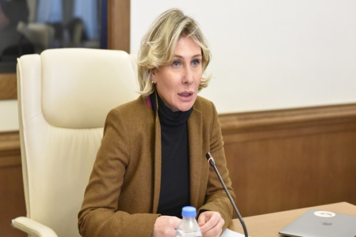 Вице-спикер: Политическая поддержка Азербайджана имеет жизненно важное значение для Грузии