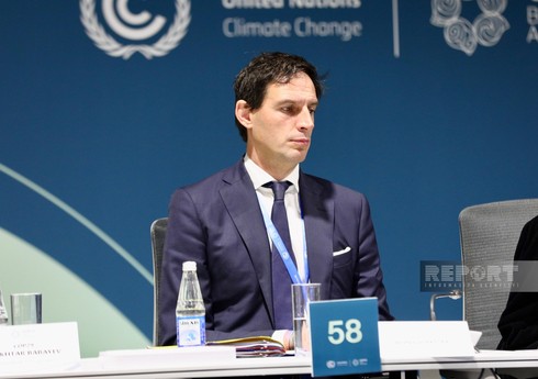 Вопке Хукстра призвал к конкретным действиям для достижения целей в области возобновляемой энергетики