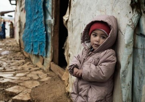 WFP за полгода необходимы $250 млн, чтобы прокормить нуждающихся в Сирии