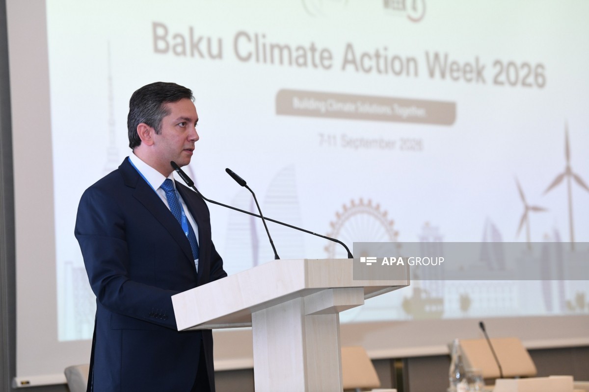 Ялчин Рафиев: COP29 показала, что дипломатия может приносить результат даже тогда, когда позиции кажутся непримиримыми