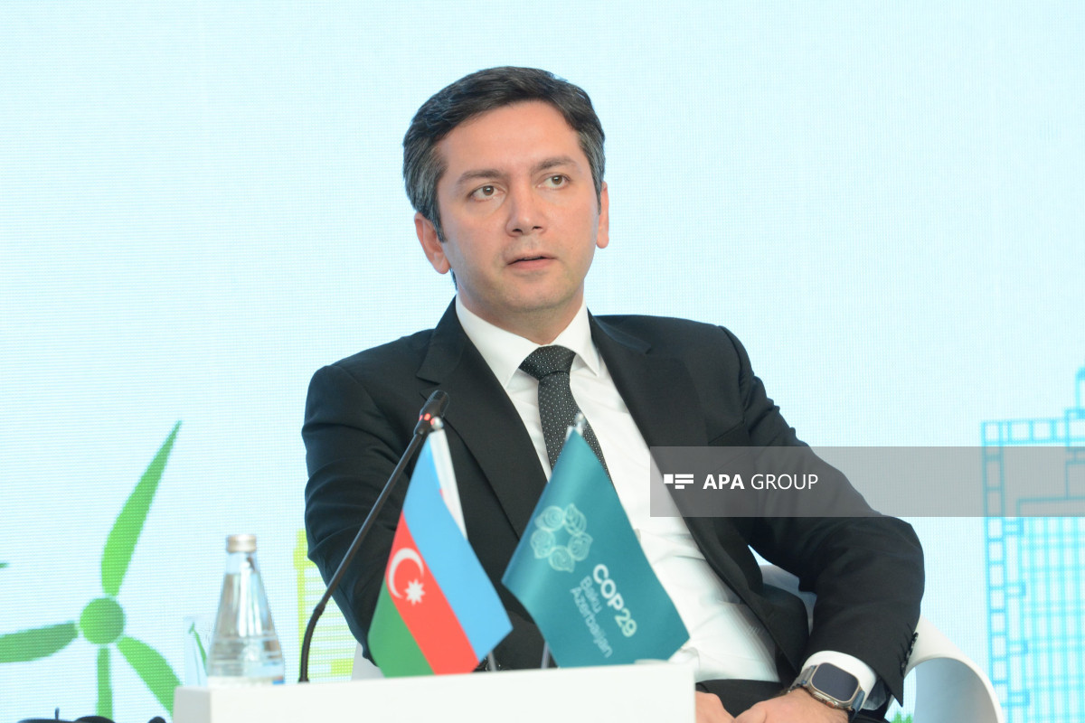 Ялчин Рафиев: Для того, чтобы рост температуры не превышал 1,5 градусов, нужно направить дополнительные средства