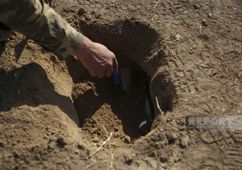 За неделю было разминировано почти 1800 га территорий